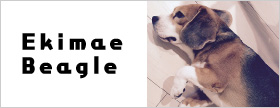 Ekimae Beagle　駅前ビーグル